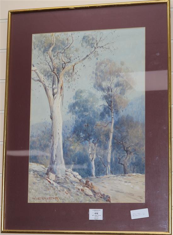 William Lister Lister Gum trees 52 x 35cm.